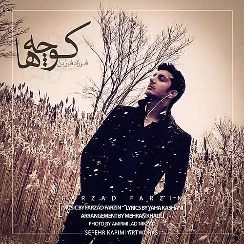 فرزاد فرزین کوچه ها