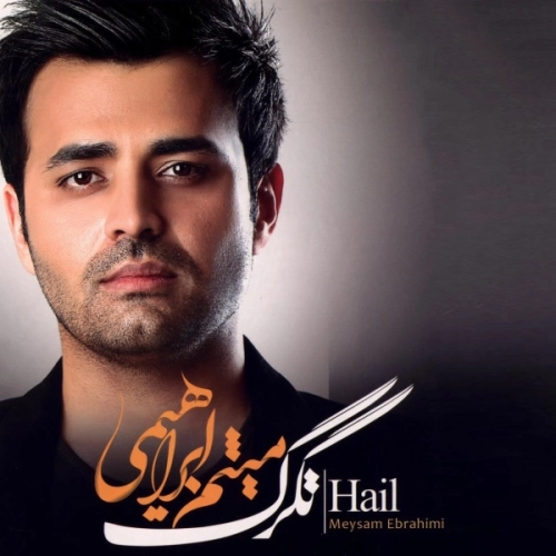 میثم ابراهیمی خوشبختی