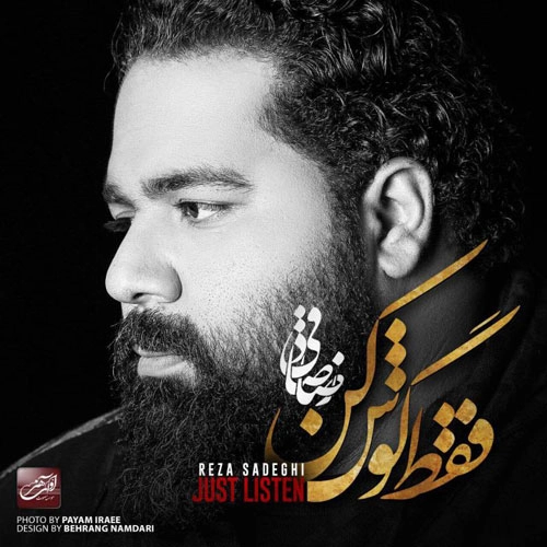 رضا صادقی عاشق شدم