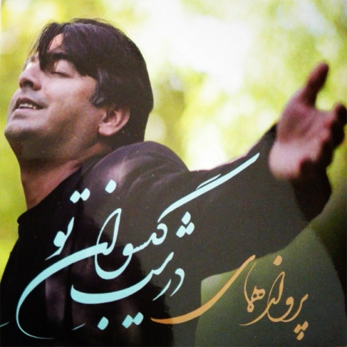 پرواز همای در شب گیسوان تو