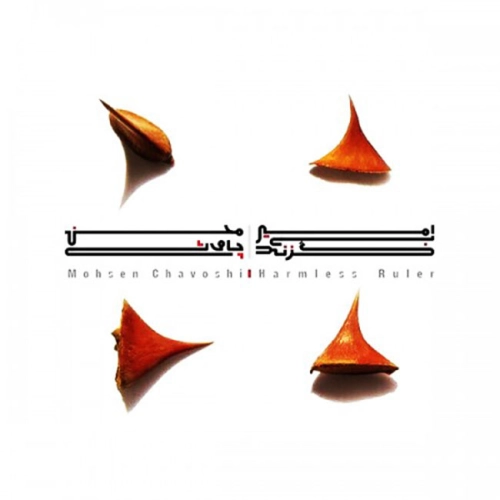 محسن چاوشی متصل