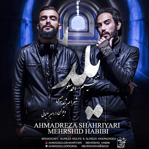احمد سلو، مهرشید حبیبی یلدا