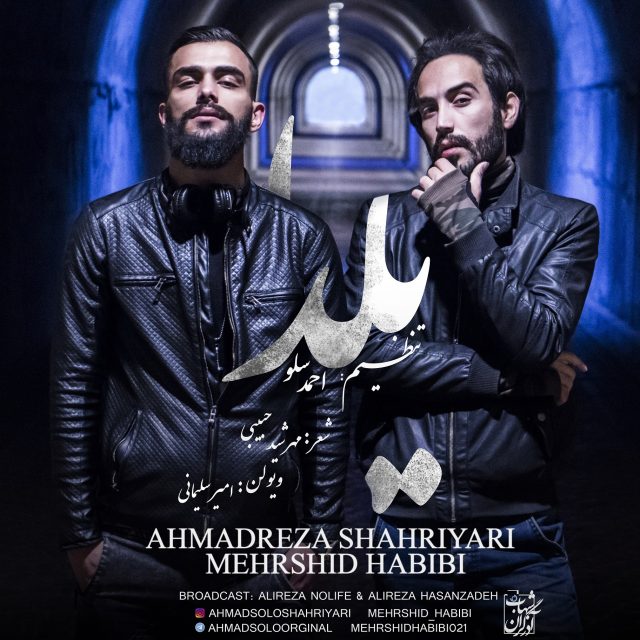احمد سلو، مهرشید حبیبی یلدا