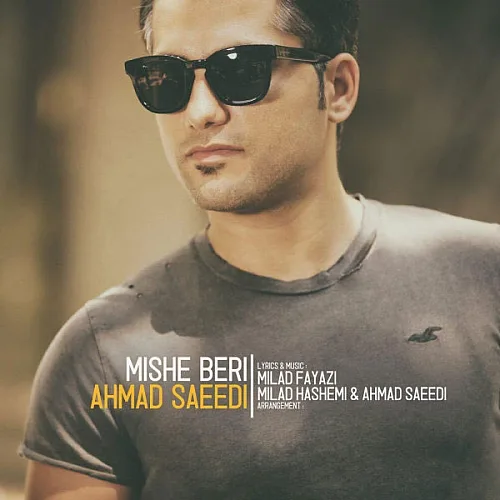 احمد سعیدی میشه بری