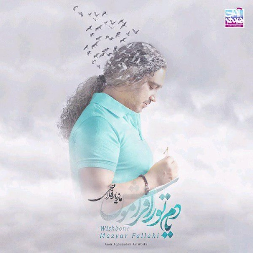 مازیار فلاحی ممنونم