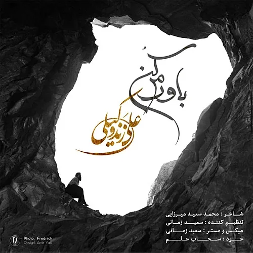 علی زندوکیلی باورم کن