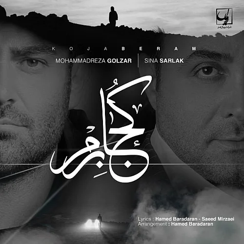 محمد رضا گلزار، سینا سرلک کجا برم
