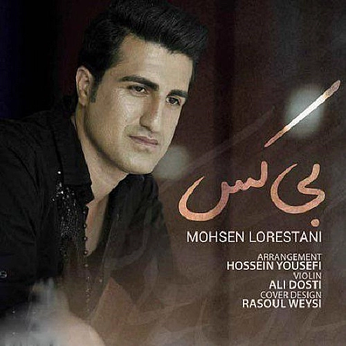 محسن لرستانی بی کَس