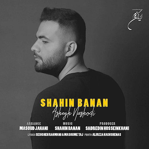 شاهین بنان عاشق نشدی