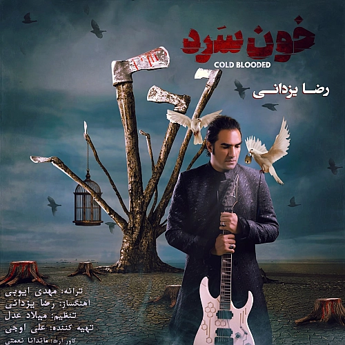 رضا یزدانی خونسرد