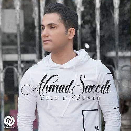 احمد سعیدی دل دیونه
