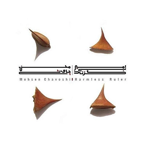 محسن چاوشی حاکم بی ضرر محسن چاوشی حاکم بی ضرر