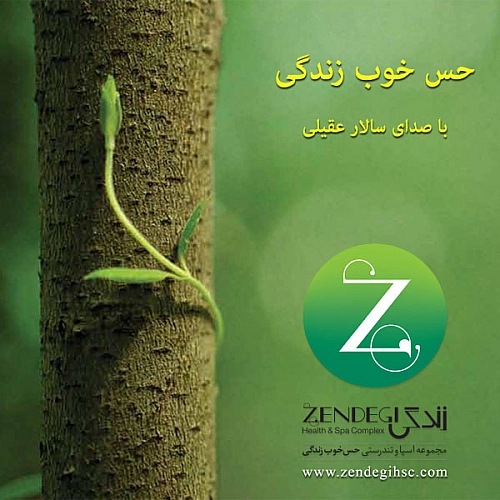 سالار عقیلی حس خوبه زندگی سالار عقیلی حس خوبه زندگی