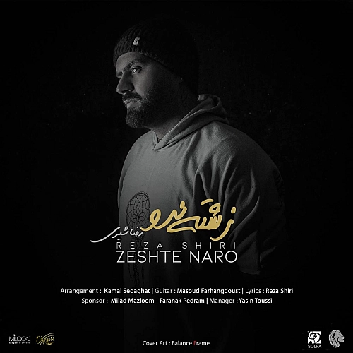 رضا شیری زشته نرو