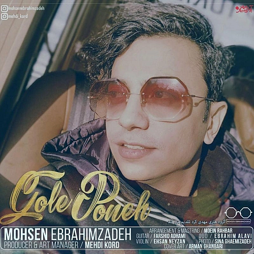 محسن ابراهیم زاده گل پونه محسن ابراهیم زاده گل پونه