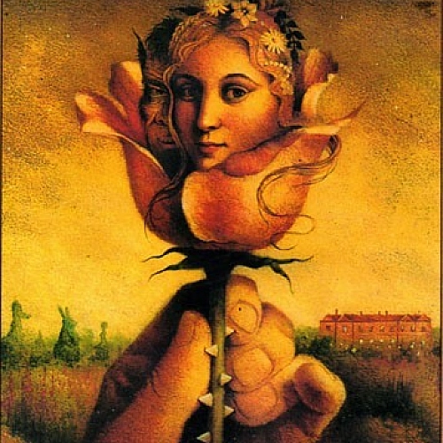 محسن چاوشی کفتر چاهی