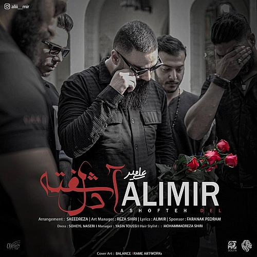 علی میر آشفته دل