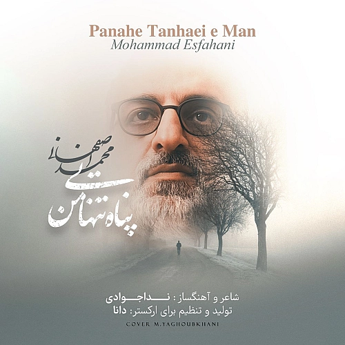 محمد اصفهانی پناه تنهایی من محمد اصفهانی پناه تنهایی من
