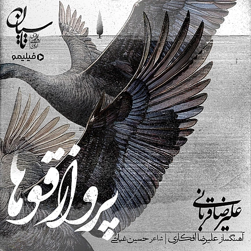 علیرضا قربانی پروازه قوها