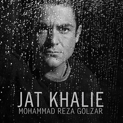محمد رضا گلزار جات خالیه