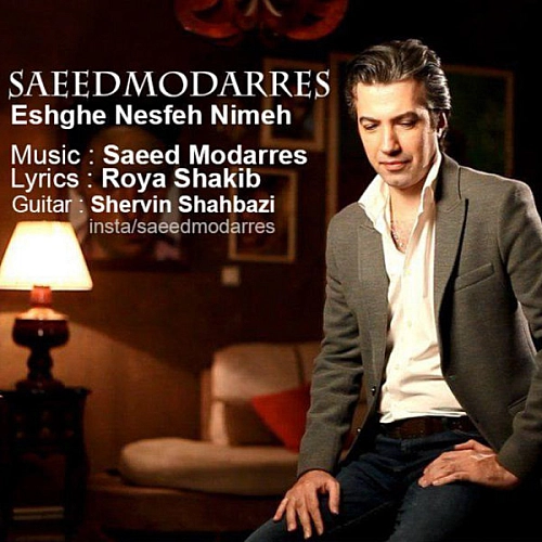 سعید مدرس عشق نصفه نیمه