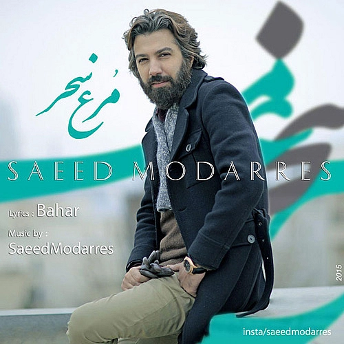 سعید مدرس مرغ سحر